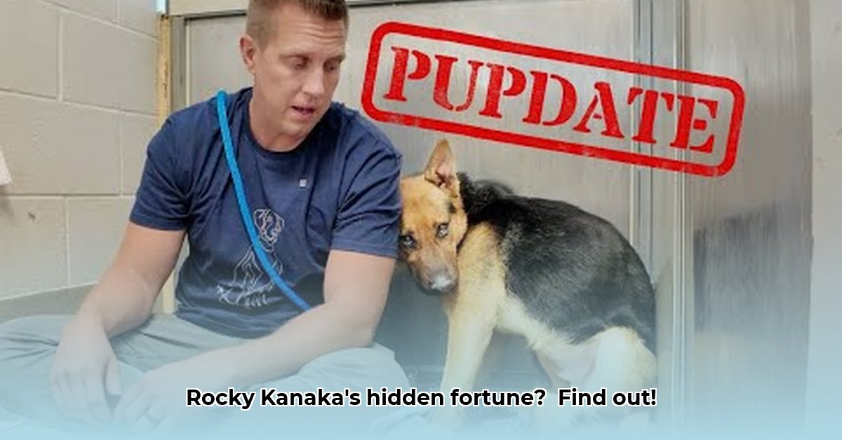 rocky-kanaka-net-worth